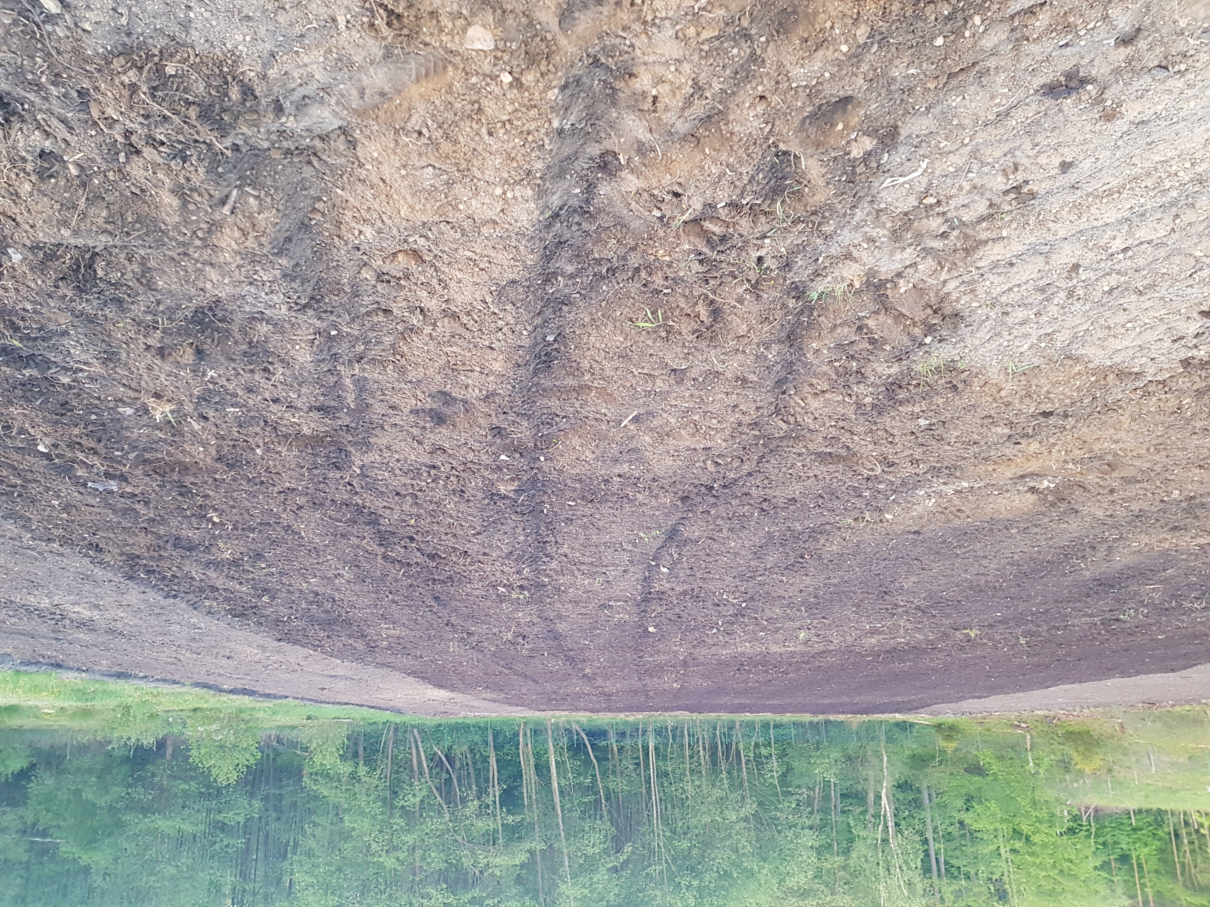 Przygotowanie gleby pod warzywniak