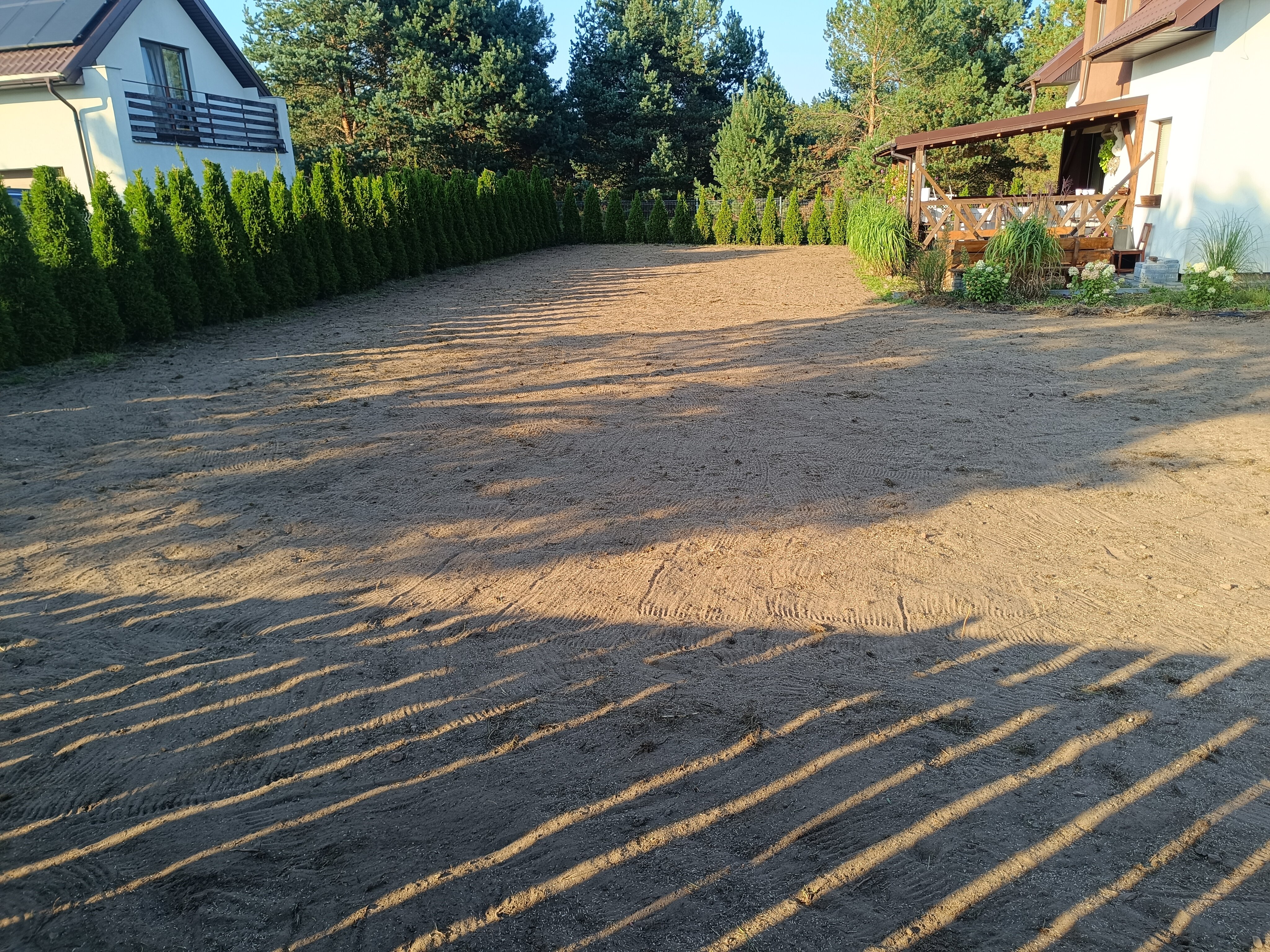 Przygotowanie terenu i wysiew trawnika z koniczyną