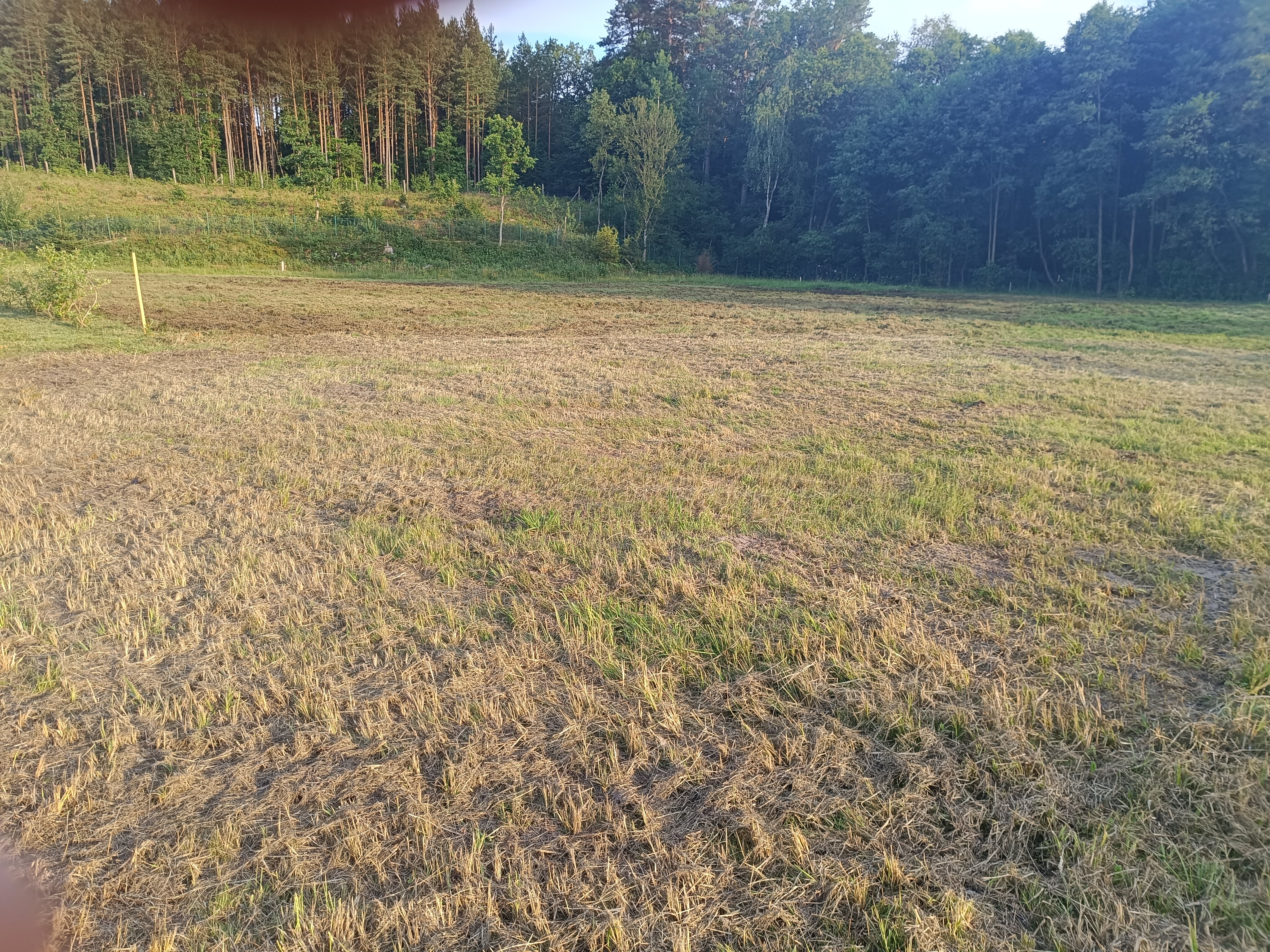 Porządkowanie działki inwestycyjnej